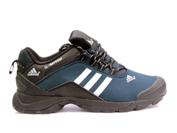 Adidas Terrex Climaproof синие с черным